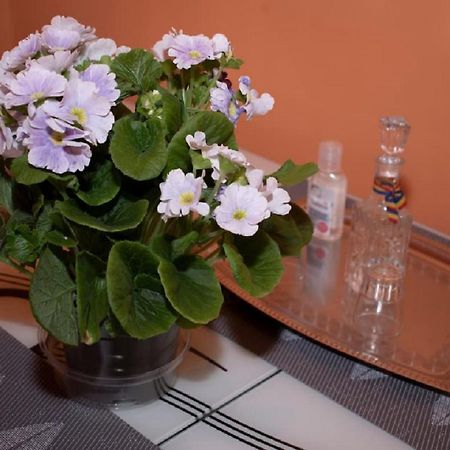 Central Apartment Maria Сибиу Экстерьер фото