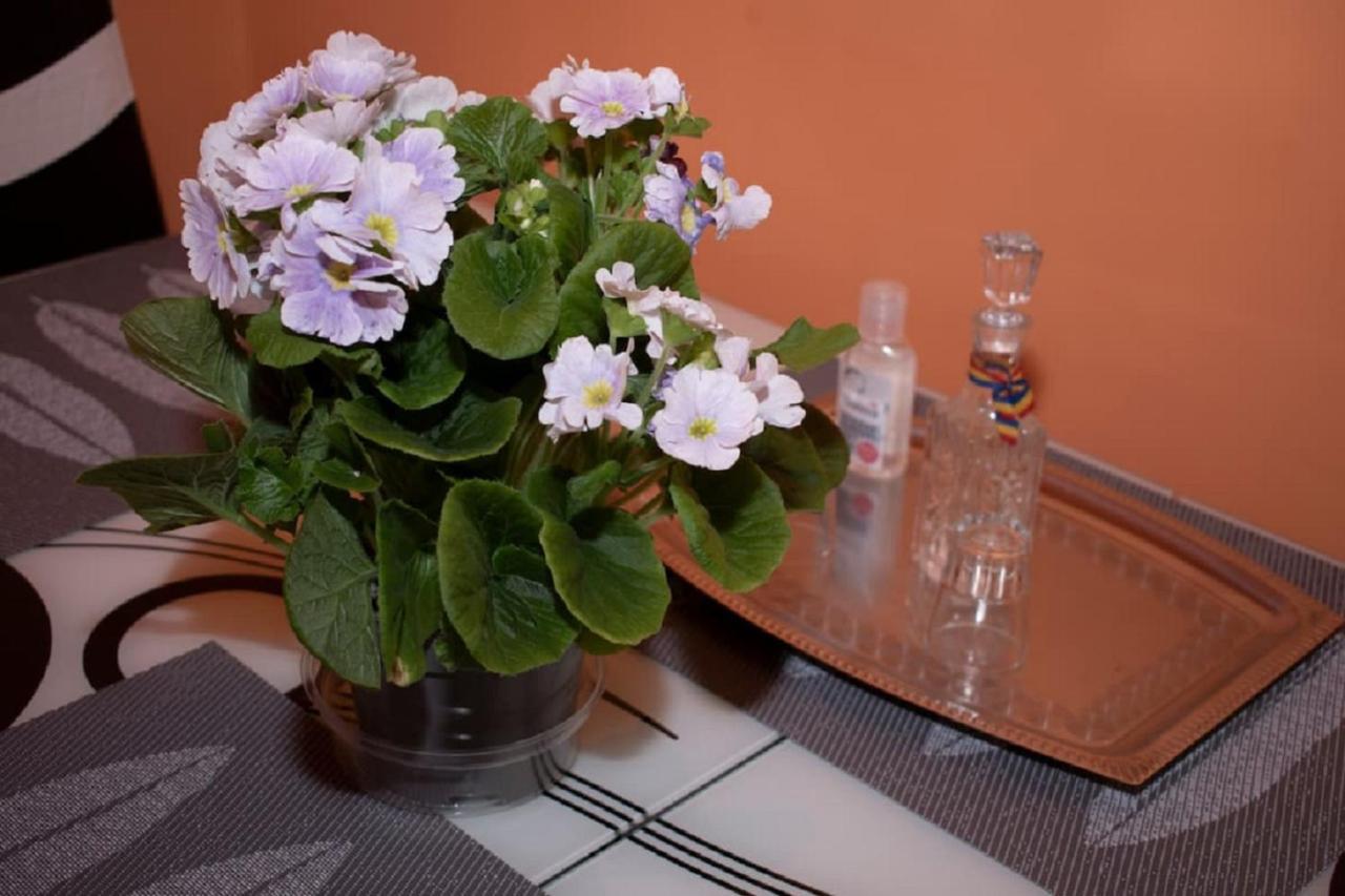 Central Apartment Maria Сибиу Экстерьер фото